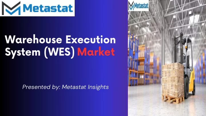 warehouse execution system wes