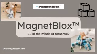 Magnetic Building Toy | MagnetBlox