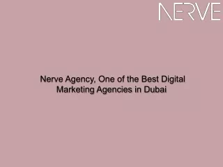 Nerve Agency, One of the Best Digital Marketing Agencies in Dubai