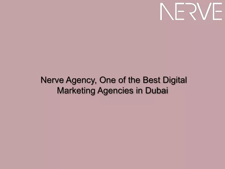 nerve agency one of the best digital marketing