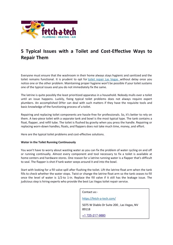 5 typical issues with a toilet and cost effective