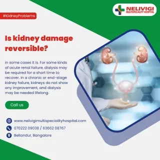 Is kidney damage reversible | Best Urologist in Bellandur | Nelivigi Urology