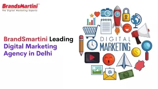 BrandSmartini Leading Digital Marketing  Agency in Delhi