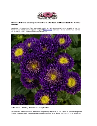 Trailing Petunia Blooming Brilliance Unveiling New Varieties of Aster Seeds and Bacopa Seeds for Stunning Gardens (2)