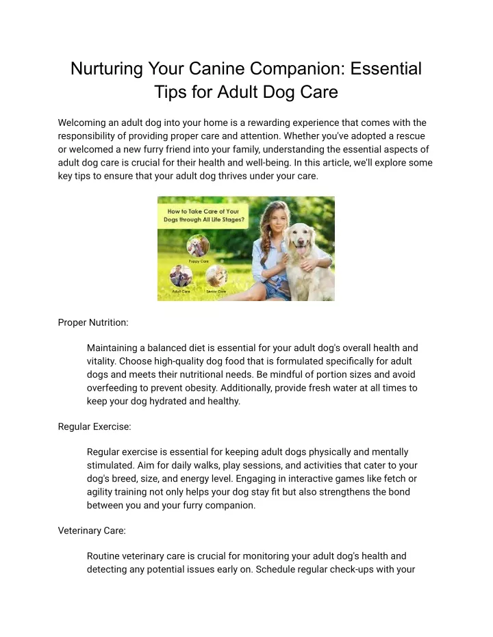 nurturing your canine companion essential tips