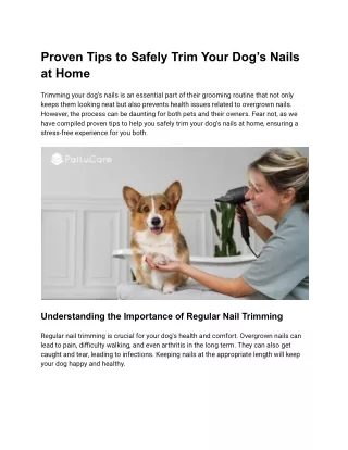 Proven Tips to Safely Trim Your Dog’s Nails at Home