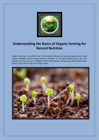 Understanding the Basics of Organic Farming for Natural Nutrition