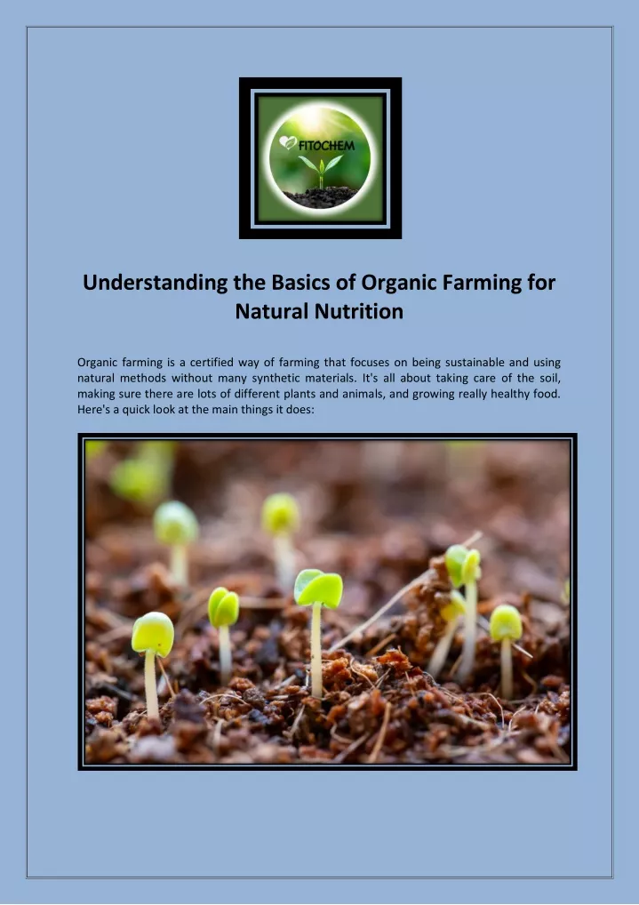understanding the basics of organic farming