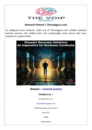 network pentest thevoipguru com