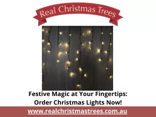 Festive Magic at Your Fingertips Order Christmas Lights Now!