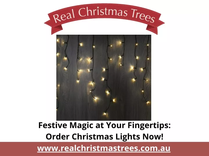 festive magic at your fingertips order christmas