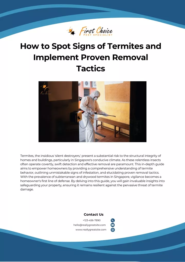 how to spot signs of termites and implement