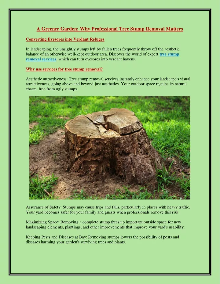 a greener garden why professional tree stump