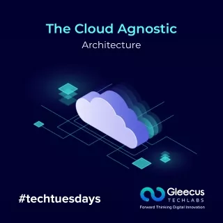 The Cloud Agnostic Architecture