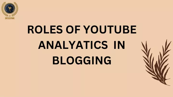 roles of youtube analyatics in blogging