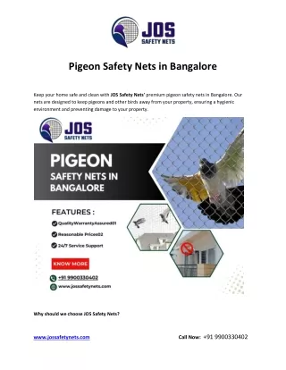 Pigeon Safety Nets in Bangalore