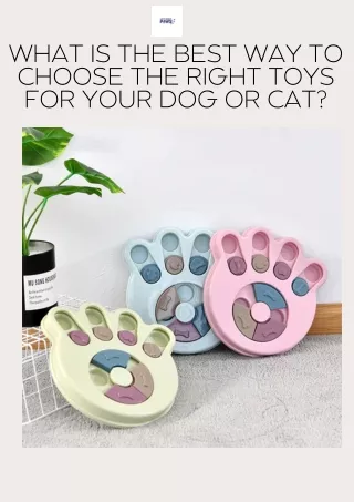 What is the best way to choose the right toys for your dog or cat?