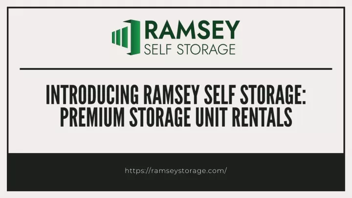 introducing ramsey self storage premium storage