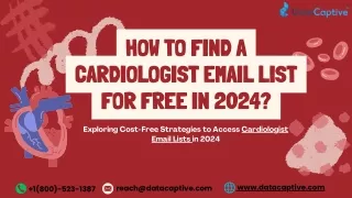 How to Find a Cardiologist Email List for Free in 2024?