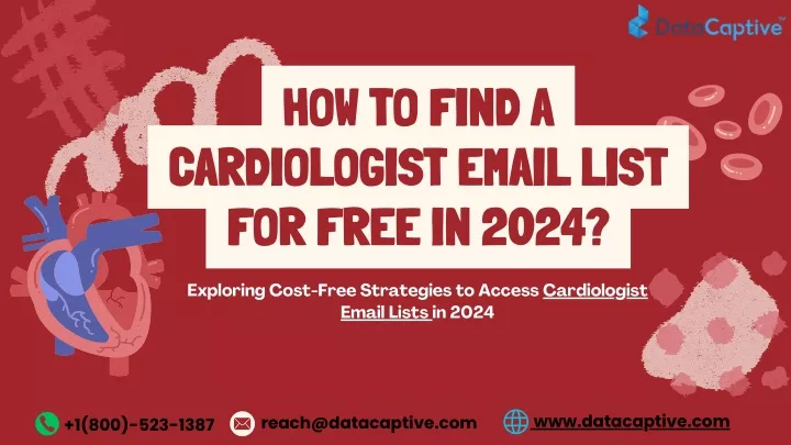 how to find a cardiologist email list for free