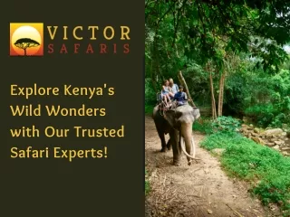 Explore Kenya's Wild Wonders with Our Trusted Safari Experts!