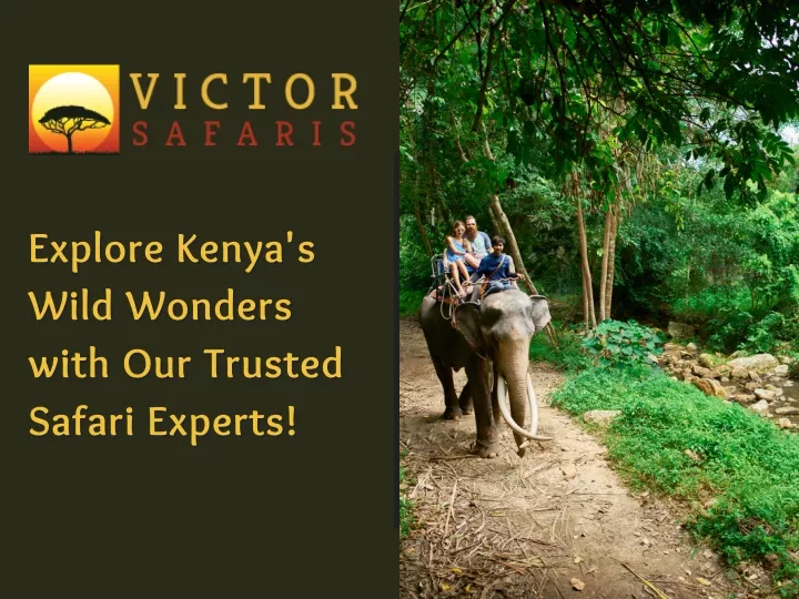 explore kenya s explore kenya s wild wonders wild