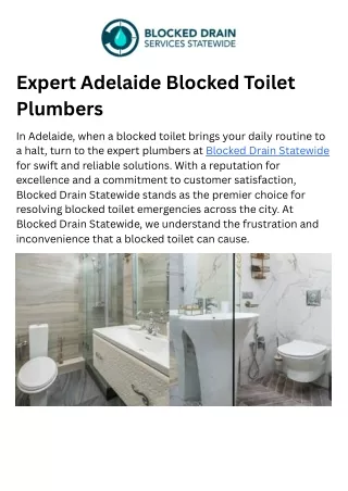 _Expert Adelaide Blocked Toilet Plumbers