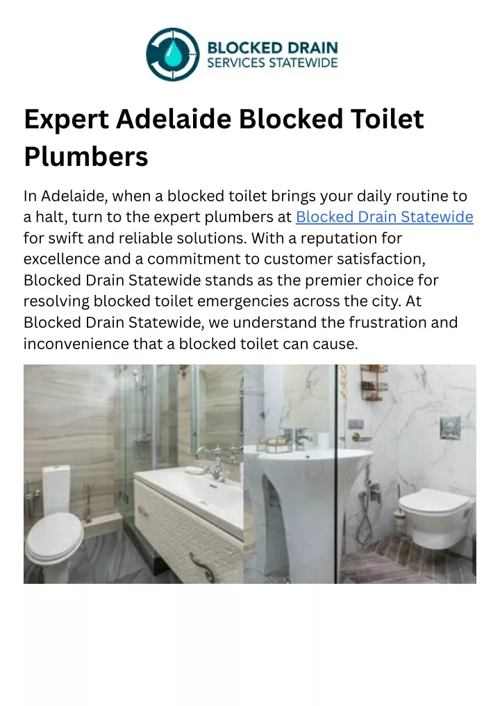 expert adelaide blocked toilet plumbers