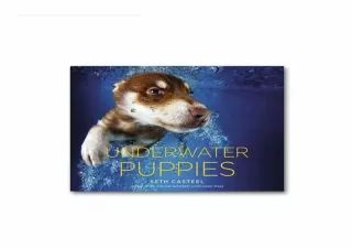 Underwater-Puppies