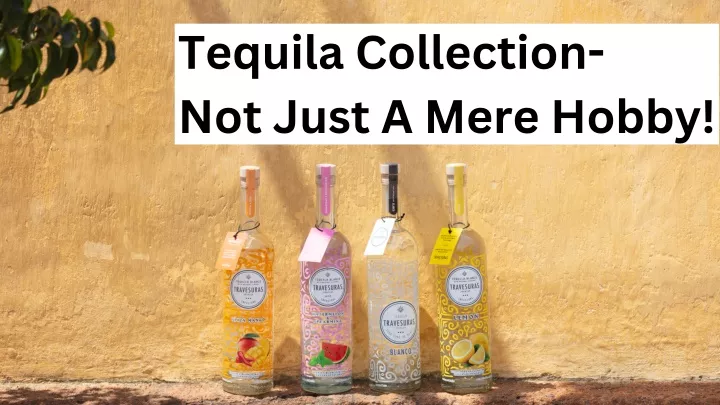tequila collection not just a mere hobby