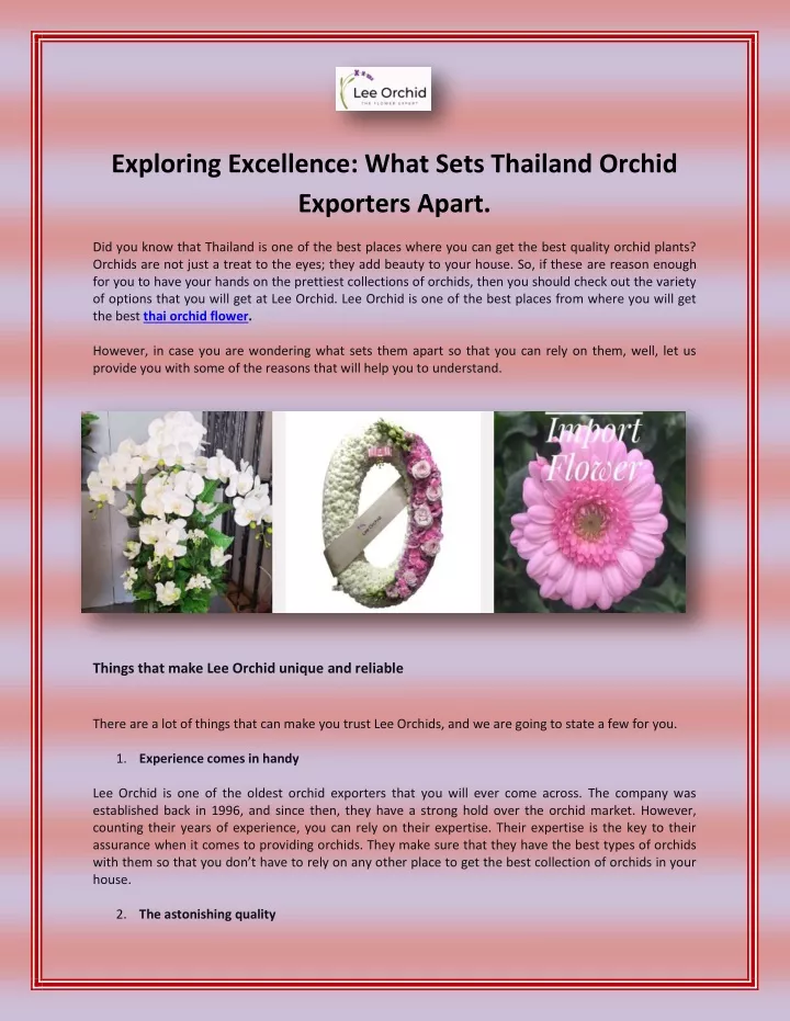 exploring excellence what sets thailand orchid