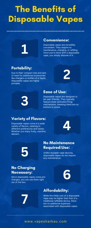 The Benefits of Disposable Vapes [infographic]