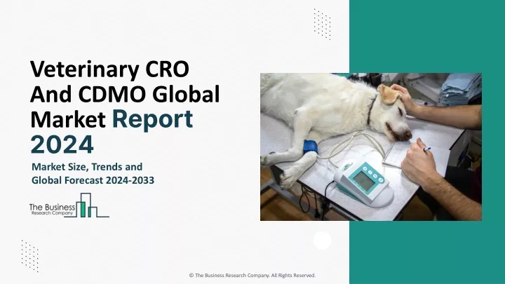veterinary cro and cdmo global market report 2024