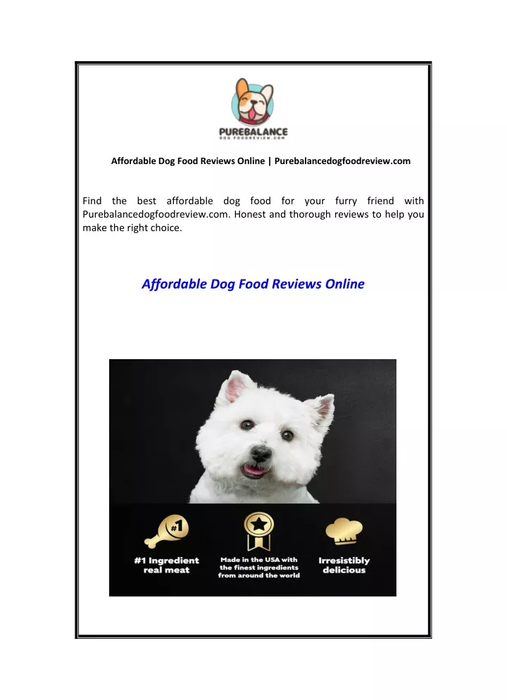 affordable dog food reviews online