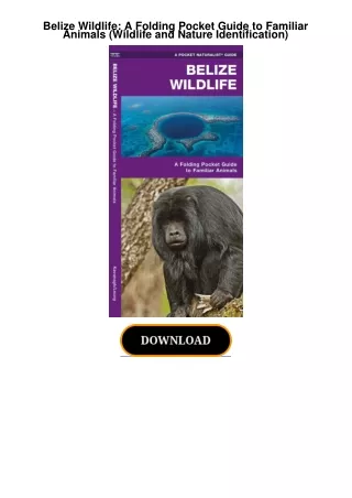 Belize-Wildlife-A-Folding-Pocket-Guide-to-Familiar-Animals-Wildlife-and-Nature-Identification