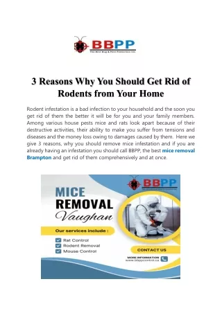 3 Reasons Why You Should Get Rid of Rodents from Your Home