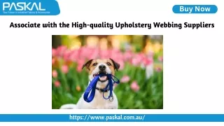 Associate with the High-quality Upholstery Webbing Suppliers