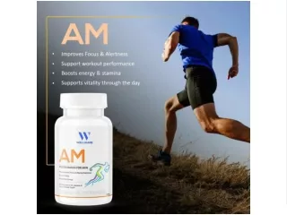 WELLWARE AM PM CAPSULES