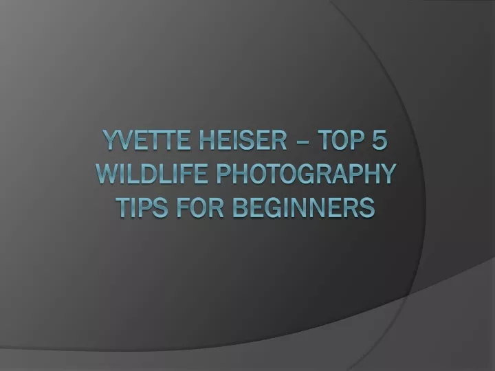 yvette heiser top 5 wildlife photography tips for beginners