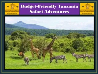 Budget-Friendly Tanzania Safari Adventures