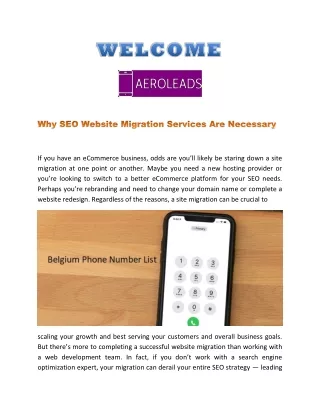 Why SEO Website Migration Services Are Necessary