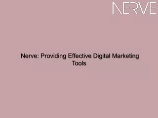 Nerve Providing Effective Digital Marketing Tools