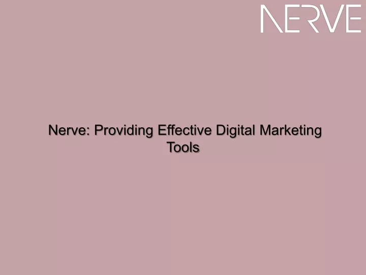nerve providing effective digital marketing tools