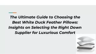 The Ultimate Guide to Choosing the Best White Duck Feather Pillows_ Insights on Selecting the Right Down Supplier for Lu