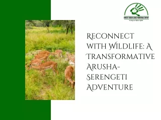Reconnect with Wildlife A Transformative Arusha-Serengeti Adventure