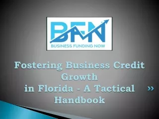 Fostering Business Credit Growth in Florida - A Tactical Handbook