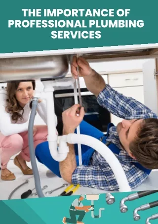 The importance of professional Plumbing Services
