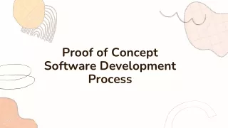 Proof of Concept Software Development Process