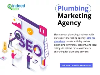 Plumbing Perfection: Elevate Your Business with Expert SEO