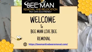 Bee Removal in San Diego